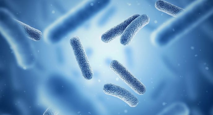 Bioprocessing And Bioreactors Market EN 4