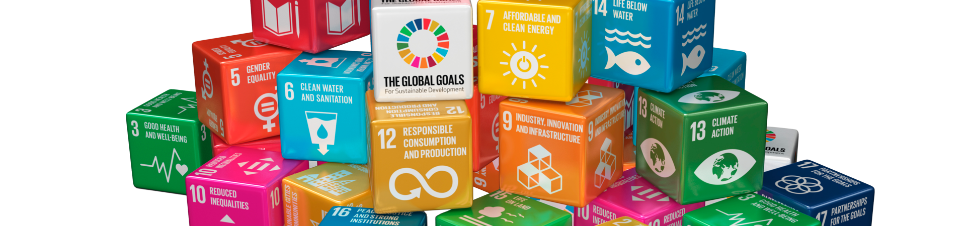Sustainability 169